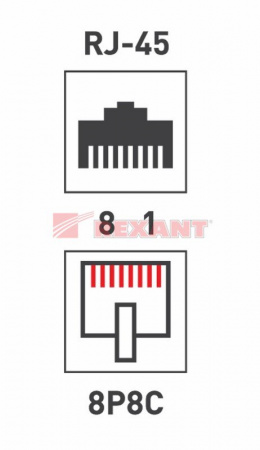 Розетка компьютерная 1-порт RJ-45(8P8C) категория 5e, внешняя Rexant