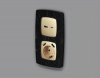 Лицевая панель OMEGA (Шампань) для розетки 2USB тип A+C QUANT OP6110