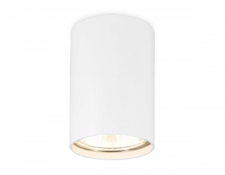 Потолочный светильник Ambrella light Techno Spot TN213101