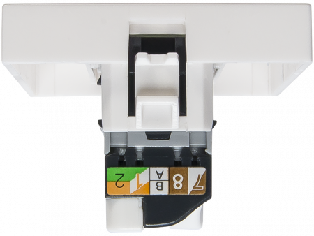 SPL Розетка RJ 45 Mosaic категория 5е UTP 2 модуля белая (076554 - SPL - 200007)