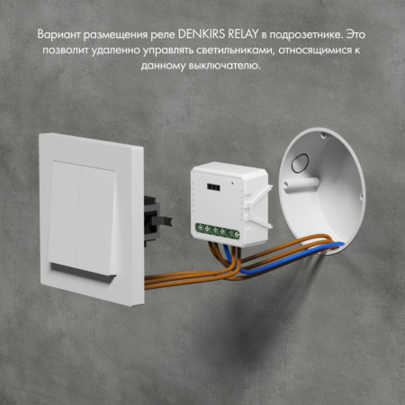 RL1004-DM Двухканальное Wi-Fi реле-диммер 2 x 150 Вт