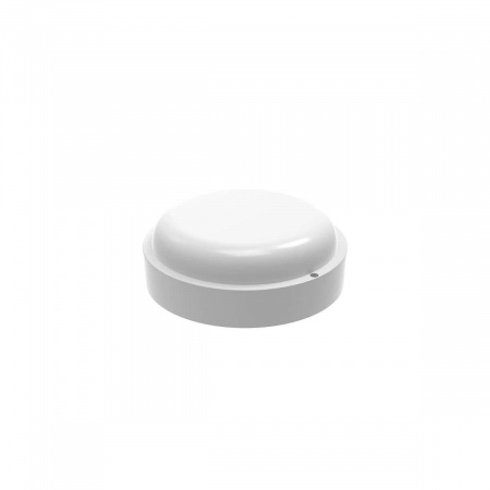 Потолочный светодиодный светильник Gauss Сауна 126411312