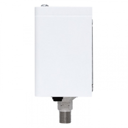 EKF PROxima Реле избыточного давления RVG-20-1,6 (1,6 МПа)