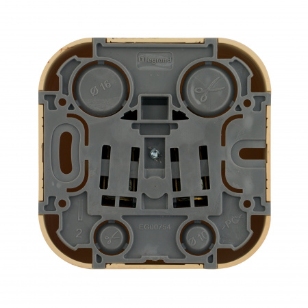 Legrand Quteo Сосна Розетка с/з с шт