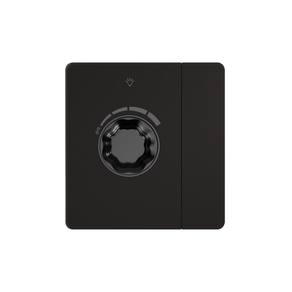 Systeme Electric Systeme Infinity Полярная ночь Светорегулятор TRIAC c выключателем 300Вт