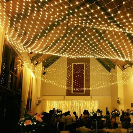 Arlight Светодиодная гирлянда ARD-NETLIGHT-HOME-1500x1500-CLEAR-150LED Blue (230V, 12W) (Ardecoled, IP20)