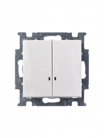 ABB BJB Basic 55 Бел Выключатель 2-клавишный с подсветкой