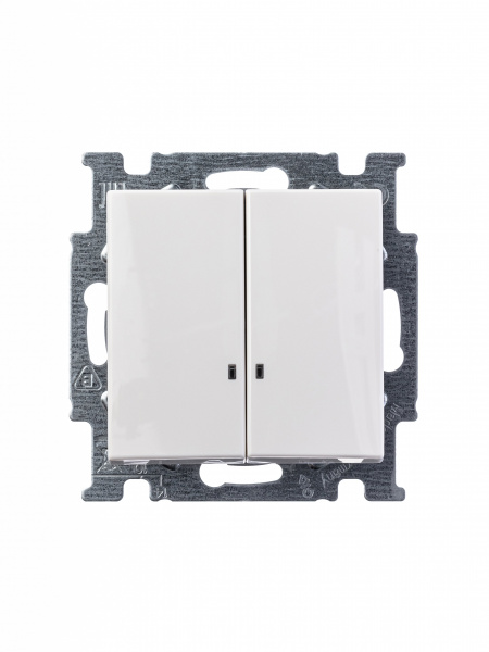 ABB BJB Basic 55 Бел Выключатель 2-клавишный с подсветкой