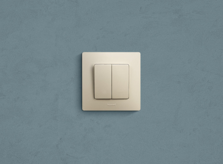 Legrand Etika Слоновая кость Выключатель 2-х клавишный, 10А, Винтовые клеммы