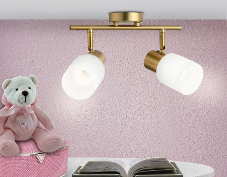 Спот Ambrella light Traditional TR3969