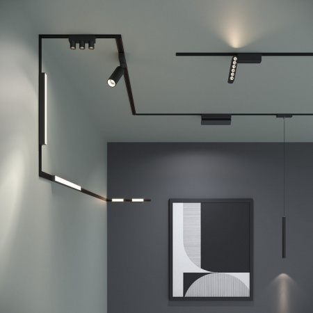 Flat Magnetic Трековый светильник 10W 4000K Vision (чёрный) 85088/01 Elektrostandard Flat Magnetic a063693