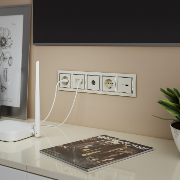 ТВ розетка оконечная  (слоновая кость) W1183003