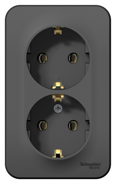 SE Blanca наруж Антрацит Розетка 2-ая с/з без шторок 16А, 250В, изолир. пластина