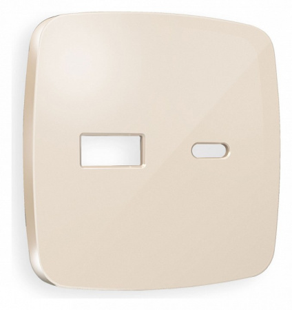 Лицевая панель OMEGA (Бежевый глянец) для розетки 2USB тип A+C QUANT OP3110