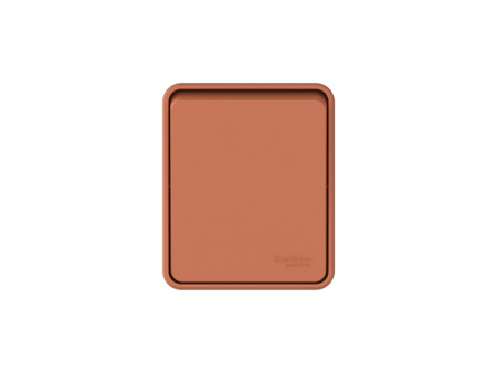Systeme Electric AtlasDesign Profi54 Наруж Терракотовый Переключатель 1-клавишный 10 АХ