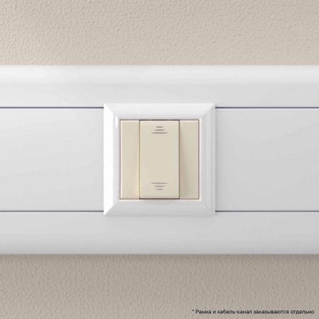 DKC Avanti Ванильная дымка Переключатель 16A 1 модуль