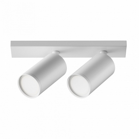 Потолочный светильник Ceiling & Wall C051CL-U-2W Maytoni FOCUS S