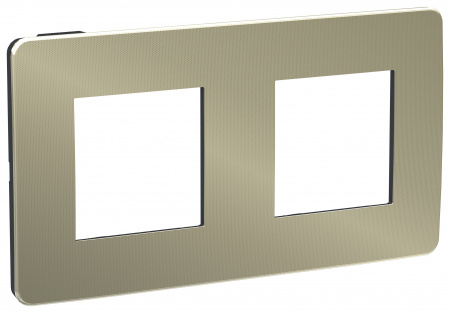 SE Unica Studio Бронза/Антрацит Рамка 2-ная