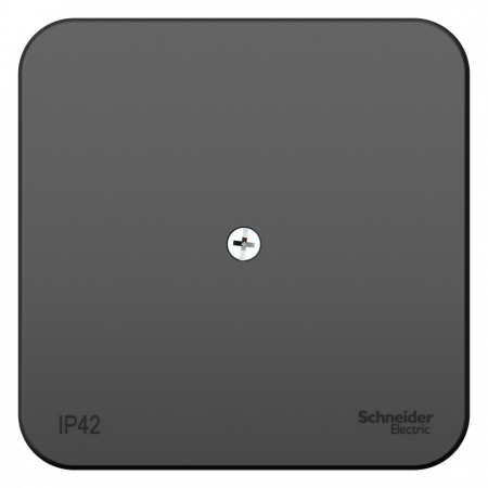 SE Blanca наруж Антрацит Коробка распределительная