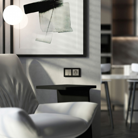 Выключатель двухклавишный (дымчатый) W1220004