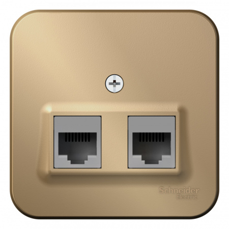 SE Blanca наруж Титан Розетка 2-ая компьютерная RJ45, кат.5E, изол. пластина