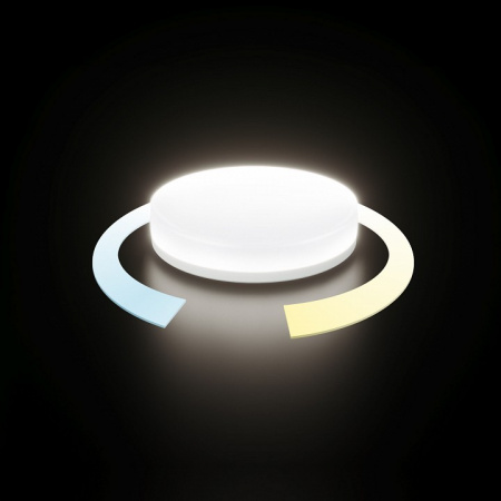 Умная светодиодная лампа BLGX5316 Elektrostandard Умная лампа a061026