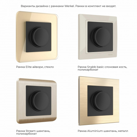 Диммер (черный матовый)