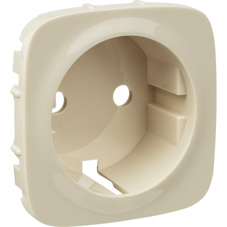 Legrand Valena ALLURE Сл.кость Накладка розетки с/з