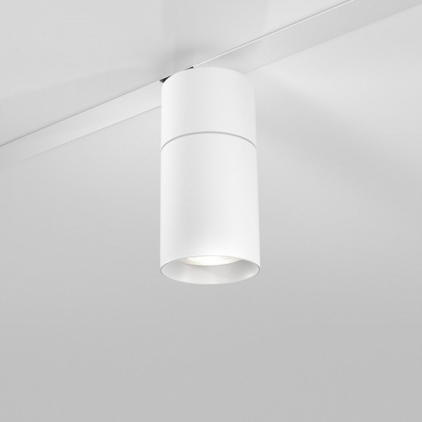 Slim Magnetic R02 Трековый светильник 12W 4200K (белый) 85012/01 85012/01 Elektrostandard Slim Magnetic R a059185 Slim Magnetic R02 Трековый светильник 12W 4200K (белый) 85012/01 85012/01 Elektrostandard Slim Magnetic R a059185