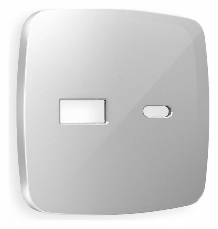 Лицевая панель OMEGA (Серебро глянец) для розетки 2USB тип A+C QUANT OP4110