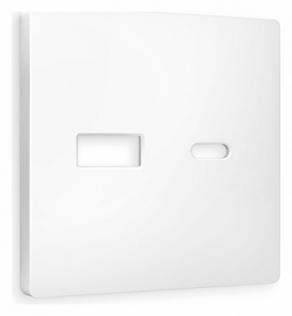 Лицевая панель ALFA (Белый матовый) для розетки 2USB A+C QUANT AP1310