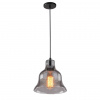 Подвесной светильник Arte Lamp Amiata A4255SP-1SM
