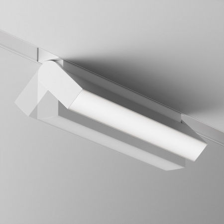 Трековый светильник Magnetic track system Gravity TR075-2-20W4K-W Maytoni Basis Rot