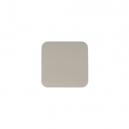 SE Blanca наруж Беж Выключатель 1-клавишный (cх.1) изолир. пластина 10А, 250B