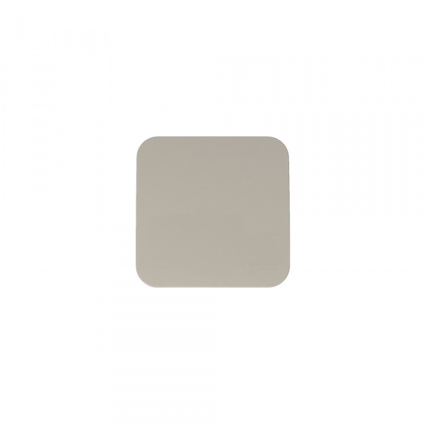 SE Blanca наруж Беж Выключатель 1-клавишный (cх.1) изолир. пластина 10А, 250B