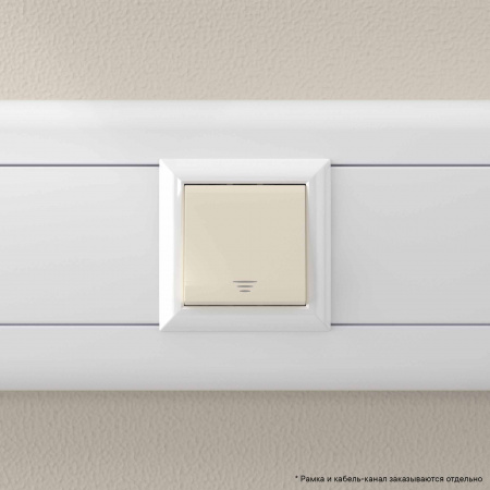 DKC Avanti Ванильная дымка Выключатель 16A 2 модуля