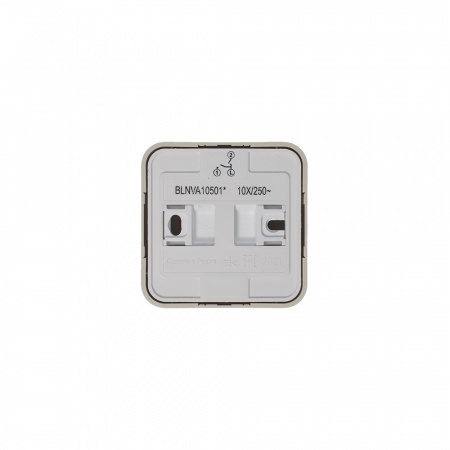 SE Blanca наруж Беж Выключатель 2-клавишный (cх.5) изолир. пластина 10А, 250B