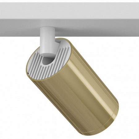 Потолочный светильник (Набор) C051CL-2WG(C051CL-02W(1шт.), TRA020-01G(2шт.)) Maytoni Focus S