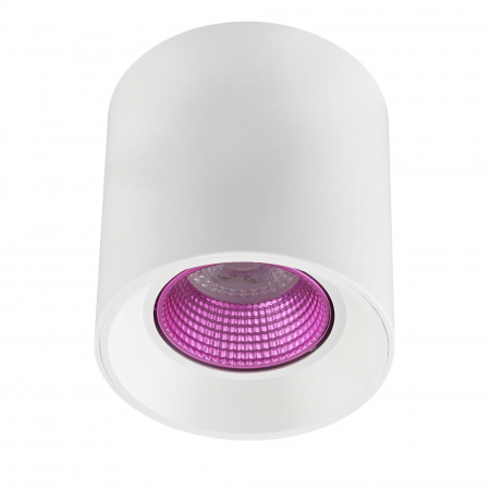 DK3090-WH+PI Светильник накладной IP 20, 10 Вт, GU5.3, LED, белый/розовый, пластик