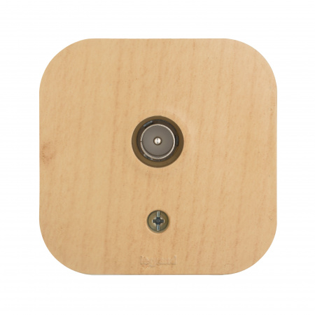 Legrand Quteo Сосна Розетка TV