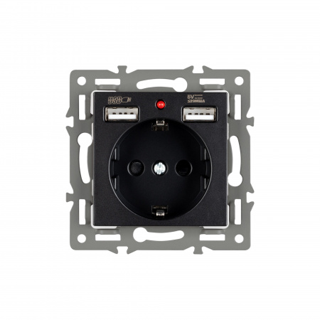 Arlight Механизм розетки с USB зарядкой SCT-MUAA-PL-BK (250V, 16A) (-)