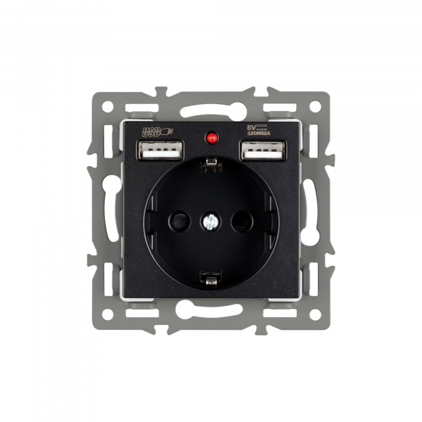 Arlight Механизм розетки с USB зарядкой SCT-MUAA-PL-BK (250V, 16A) (-)