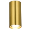 Donel Светильник накладной, GU10, D55xH80мм, IP20, латунь, без лампы, DN02016R1Brass