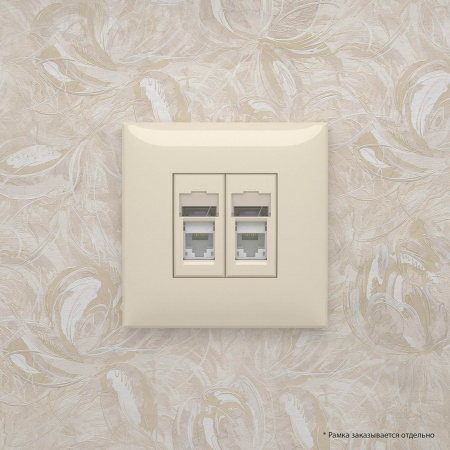 DKC Avanti Ванильная дымка Компьютерная розетка RJ-45 двойная  категория 5e