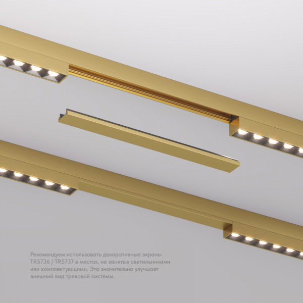 TR5736-SB Декоративная заглушка желоба трека SHINE BASE, 20см, сатинированная латунь, алюминий