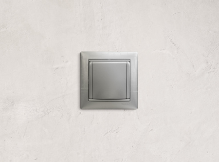 Legrand Valena Алюминий Розетка 1-ая с/з с крышкой