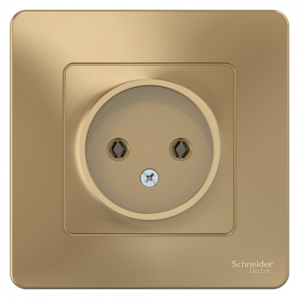 SE Blanca внутр Титан Розетка б/з без шторок 16А, 250В