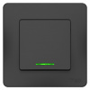SE Blanca внутр Антрацит Переключатель 1-клавишный с подсветкой, 10А, 250B