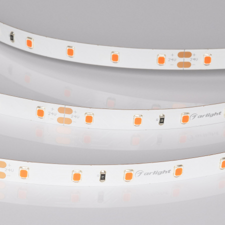 Arlight Лента RT-A60-8mm 24V Ruby (4.8 W/m, IP20, 5m) (-)