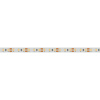 Arlight Светодиодная лента RT 2-5000 12V White6000 2x (3528, 600 LED, LUX) (9.6 Вт/м, IP20)